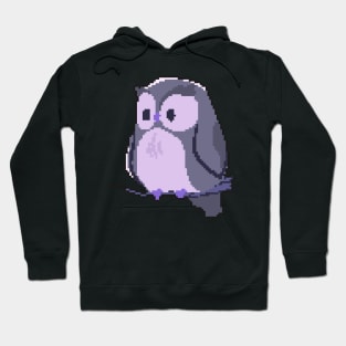 Wise Whispers: Pixel Art Owl Design for Trendy Fashion Hoodie